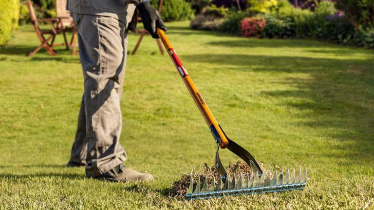 11 Home Depot gardening tools you probably didn't realize existed