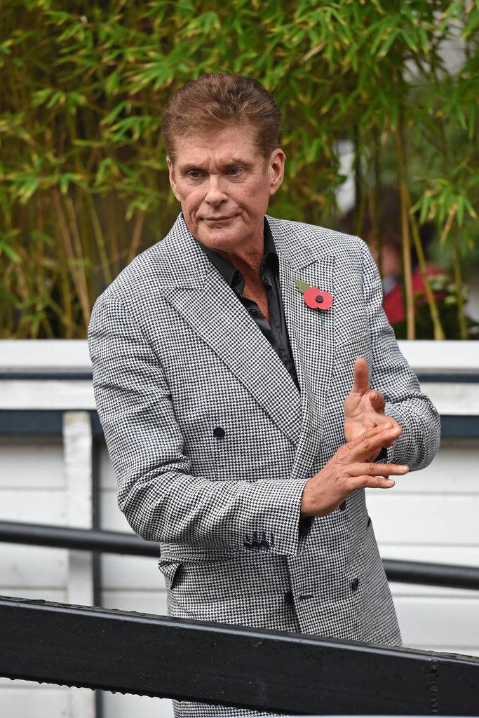 Preocupación por David Hasselhoff: sus problemas de movilidad encienden ...