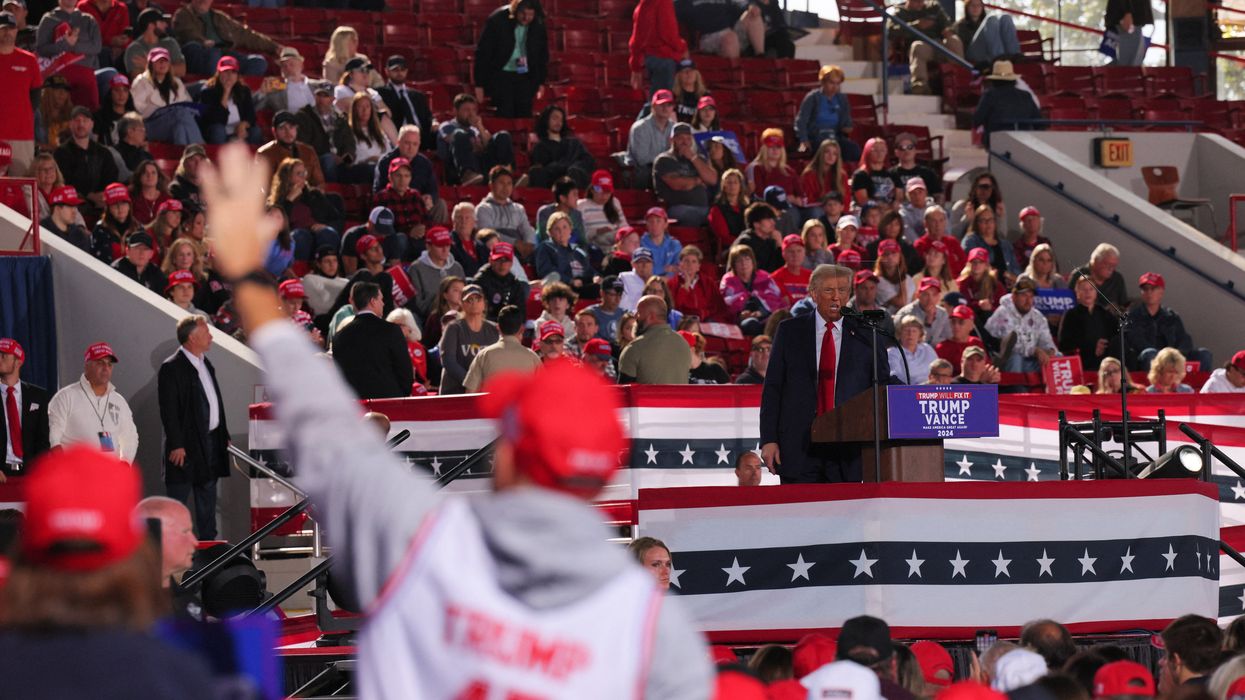 GOP strategist suggests party break from Trump in midterm pitch to voters