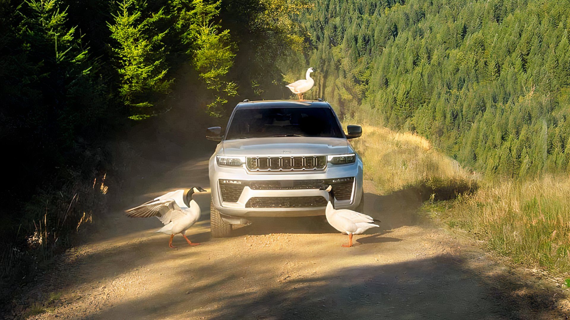 Jeep recalls 419K Grand Cherokee models over side airbags that may not ...