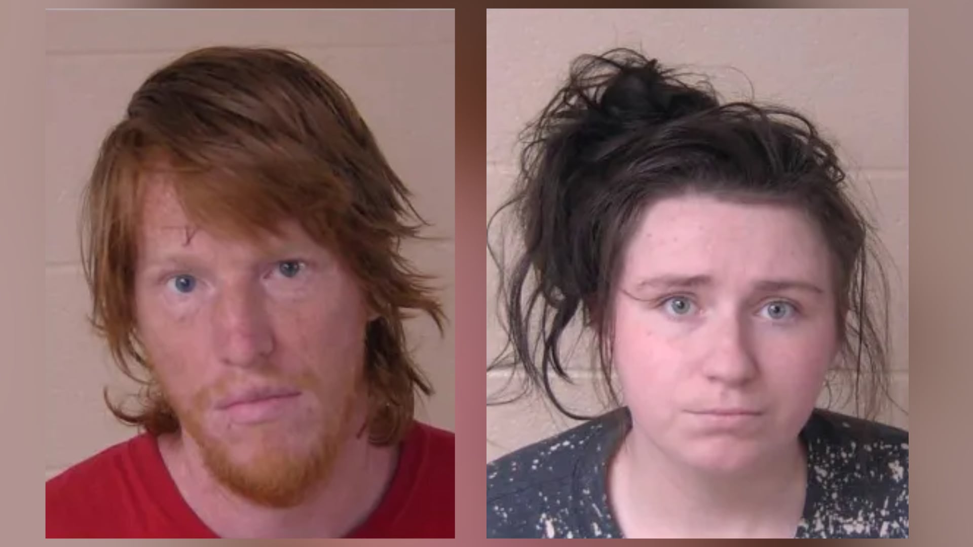 Georgia couple charged after dog found dead, starved with cloth in stomach