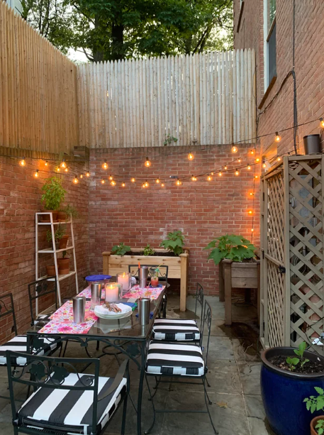 Plants in planters on a patio outside
