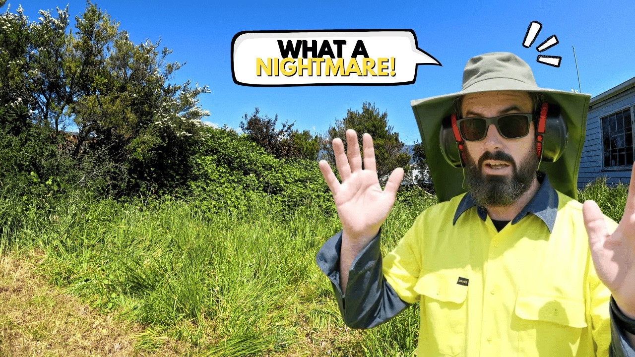 This backyard was a jungle - 11 hours later, it’s unrecognisable!