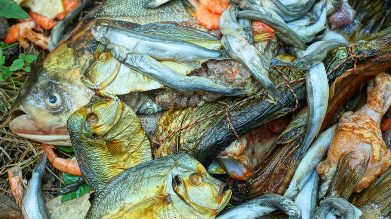 9 seafood buffet red flags that should send you running