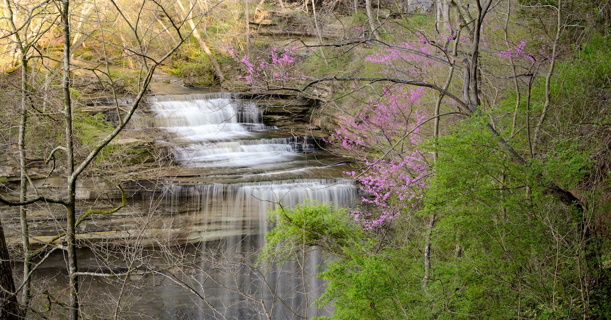 4 beautiful trails in Indiana that shine in spring