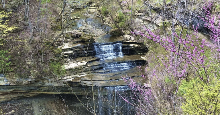 4 beautiful trails in Indiana that shine in spring