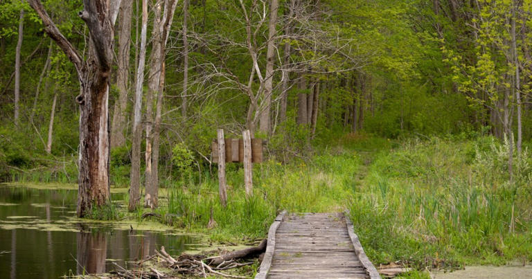 4 beautiful trails in Indiana that shine in spring