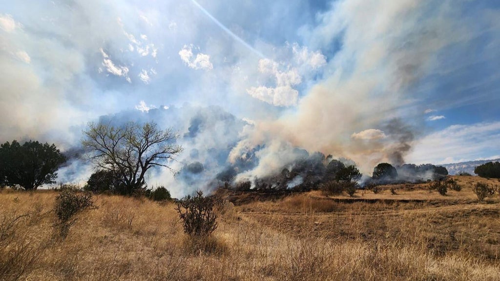 Firefighters reach 100% containment on large wildfire in southeast Colorado