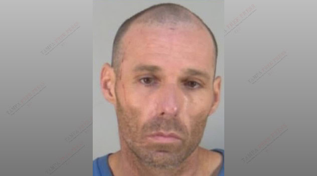 Laser-sighted execution during dog attack: Florida man indicted for ...
