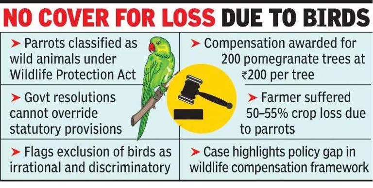 Farmers eligible for govt compensationfor crop damage by wild birds ...