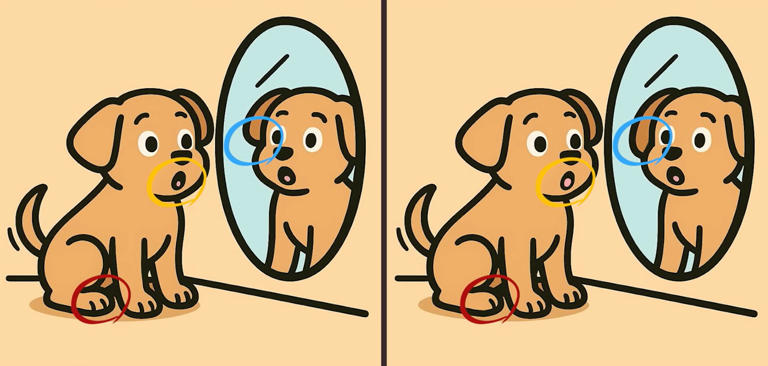 This dog and mirror spot the difference puzzle is fooling everyone ...