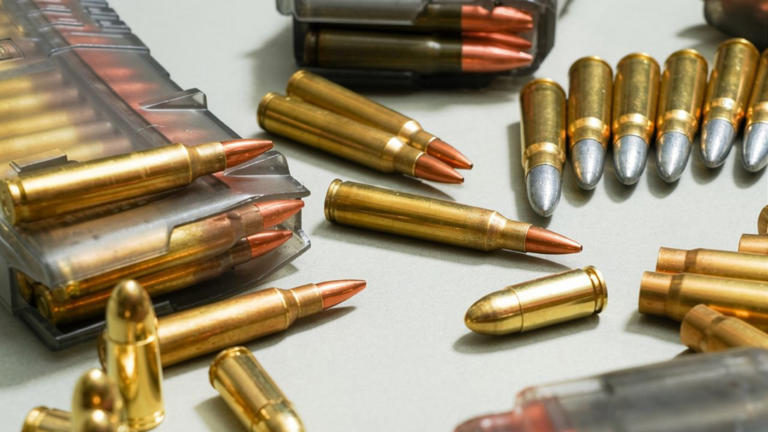The hunting rounds that still hold up after all the hype cycles change