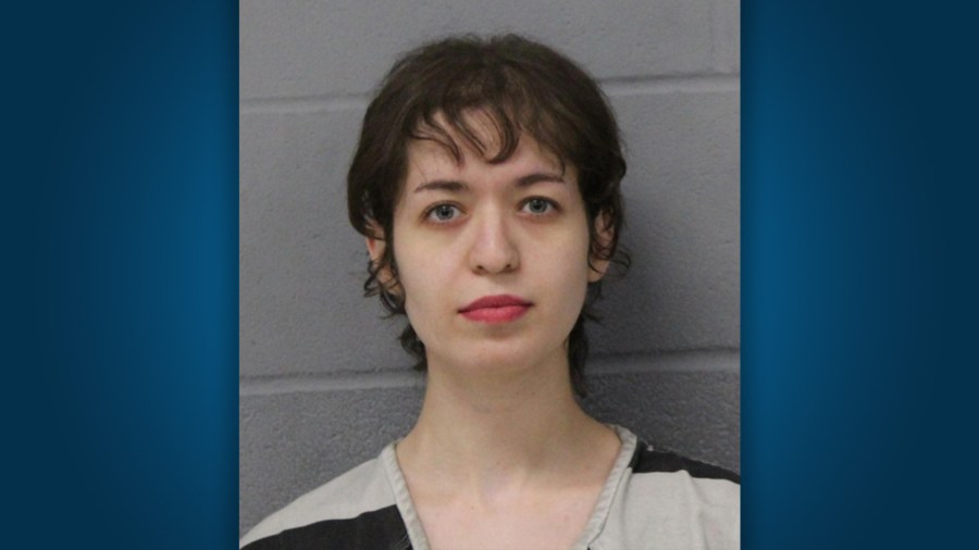 Austin woman faces animal cruelty charges after 15 cats found abandoned ...