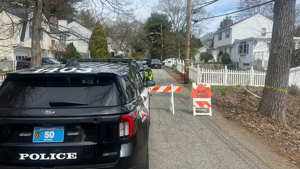 Mother arrested after 2 children found dead inside Wellesley ...