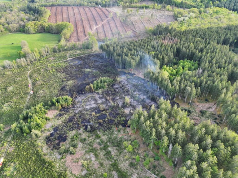 Côte-d’Or : un feu de forêt maîtrisé après plusieurs heures de lutte à ...