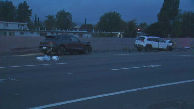 Video: Person standing on LA freeway killed in wild overnight crash