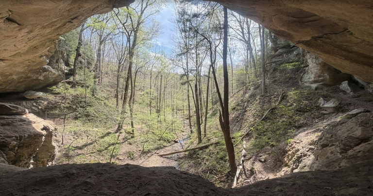 4 beautiful trails in Indiana that shine in spring