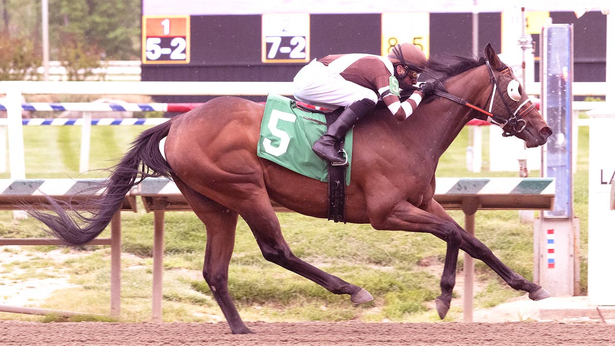 Racetrack roundup: Joe Rocco Jr. teams with former agent-turned-trainer ...