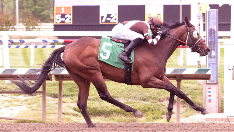 Racetrack roundup: Joe Rocco Jr. teams with former agent-turned-trainer ...
