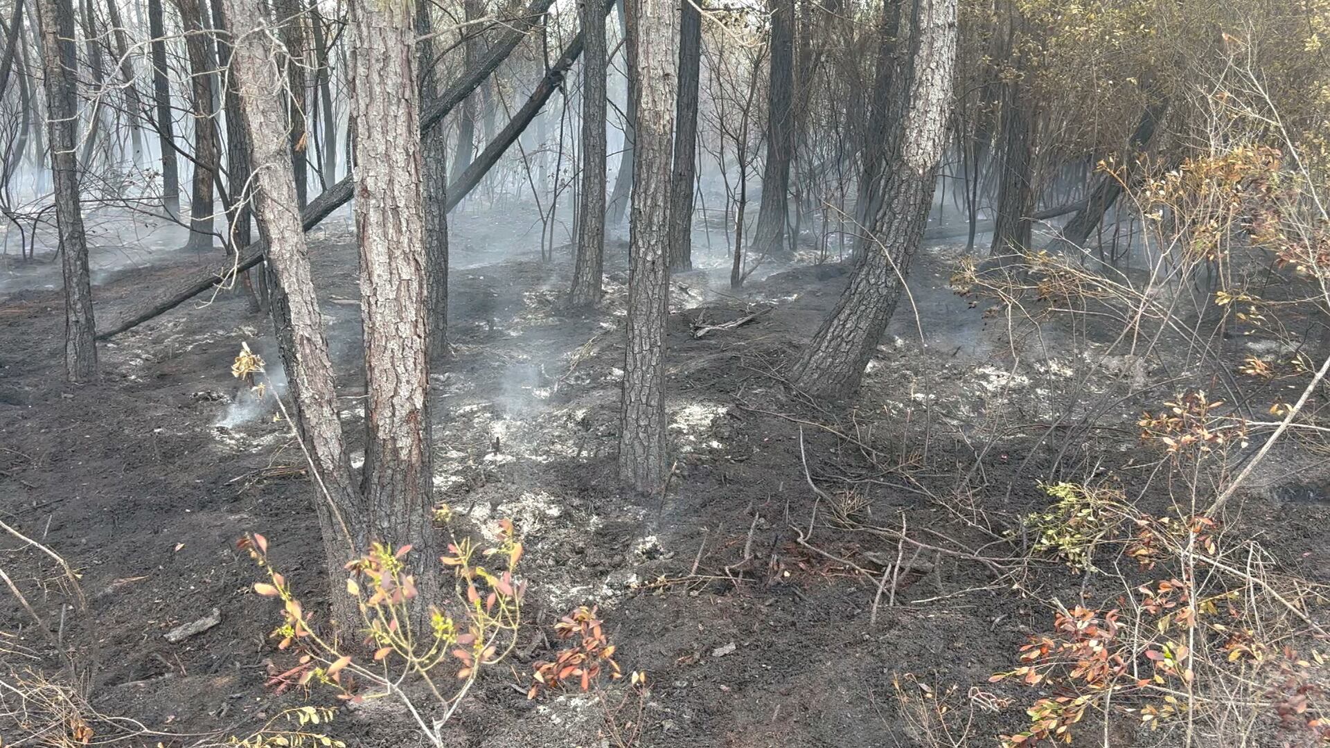 Crews continue to monitor Bay County wildfire