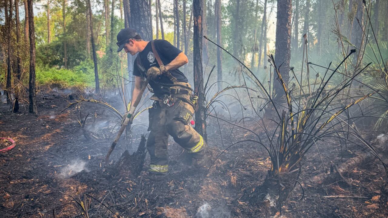 JFRD, Florida Forest Service put out two small brush fires in Duval County