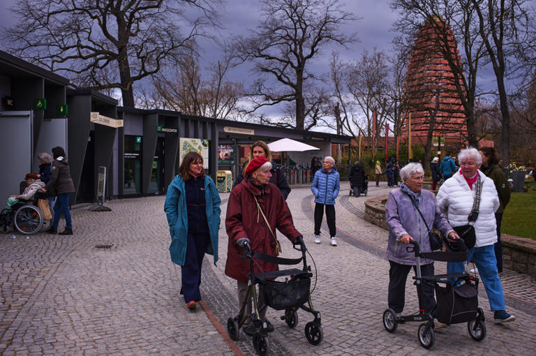 Getting the most out of barrier-free tours for yourself or someone with ...