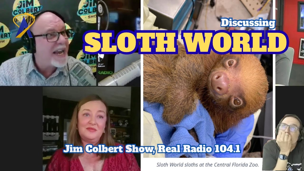 The sloth world scandal: Dani Meyering breaks down the saga on The Jim ...