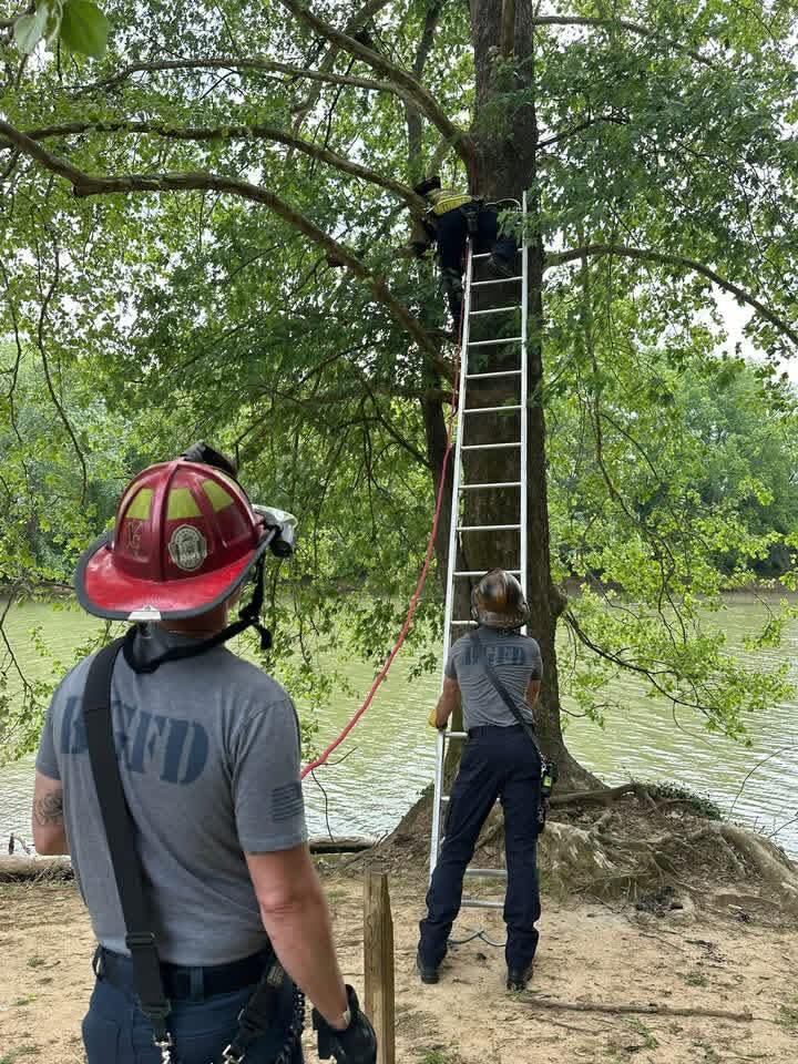 BGFD responds to two animal rescues