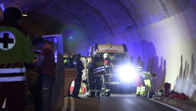 Die Bemühungen der Rettungskräfte waren leider vergebens.