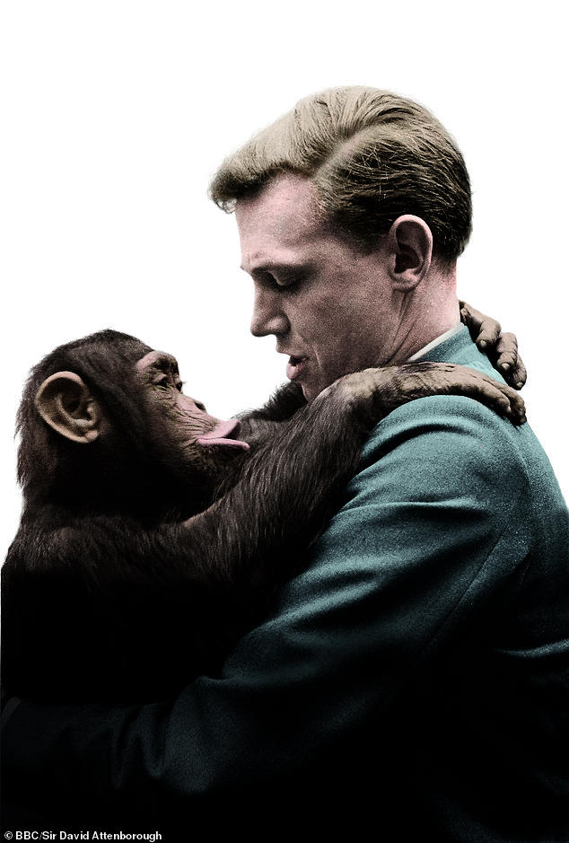 David Attenborough's trick to stay 'hidden' in public and love of ...