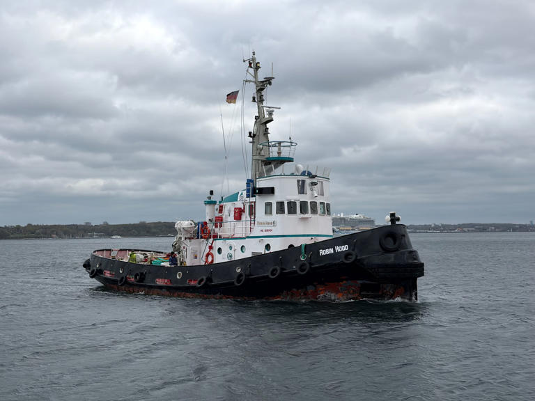 Wal-Bergung: Schlepper wartet in Kiel auf Barge
