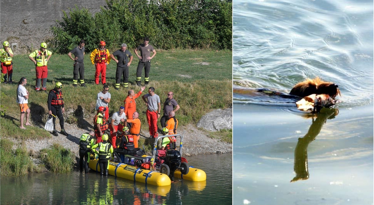 Si tuffa in un canale per salvare il suo cane, morto annegato nel ...