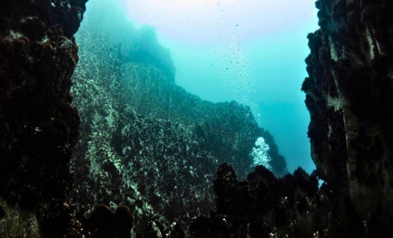 Scientists drilled into the oceanic crust at 2,500 meters and found ...