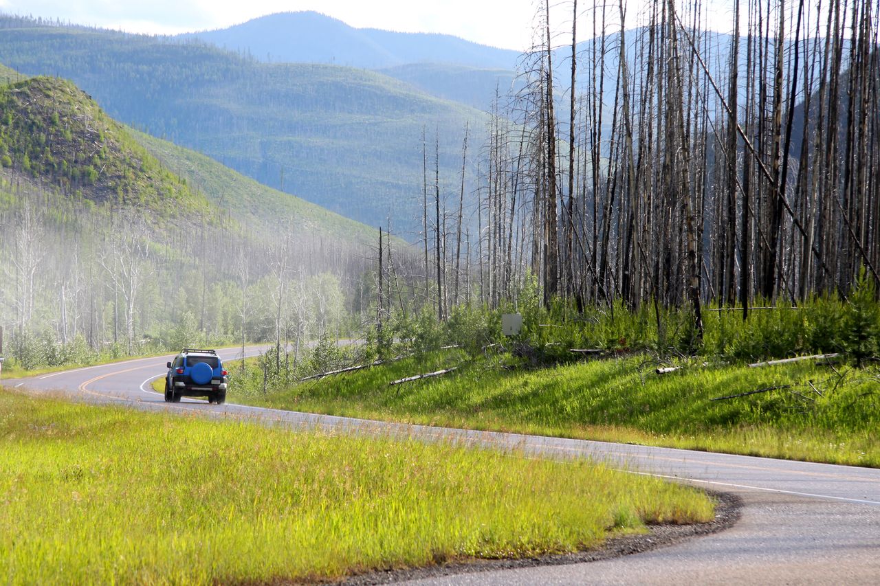 A car driving on a winding road surrounded by grass and forested hills