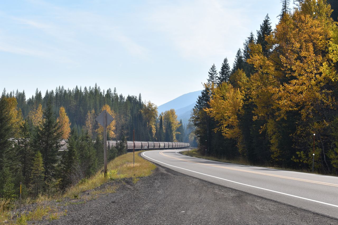 A road curving through a forested area with a railway bordered by trees