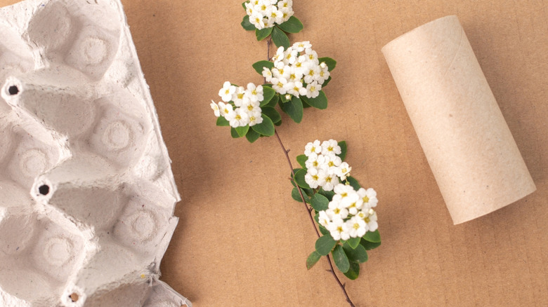 Turn toilet paper rolls and egg carton scraps into cute DIY lanterns