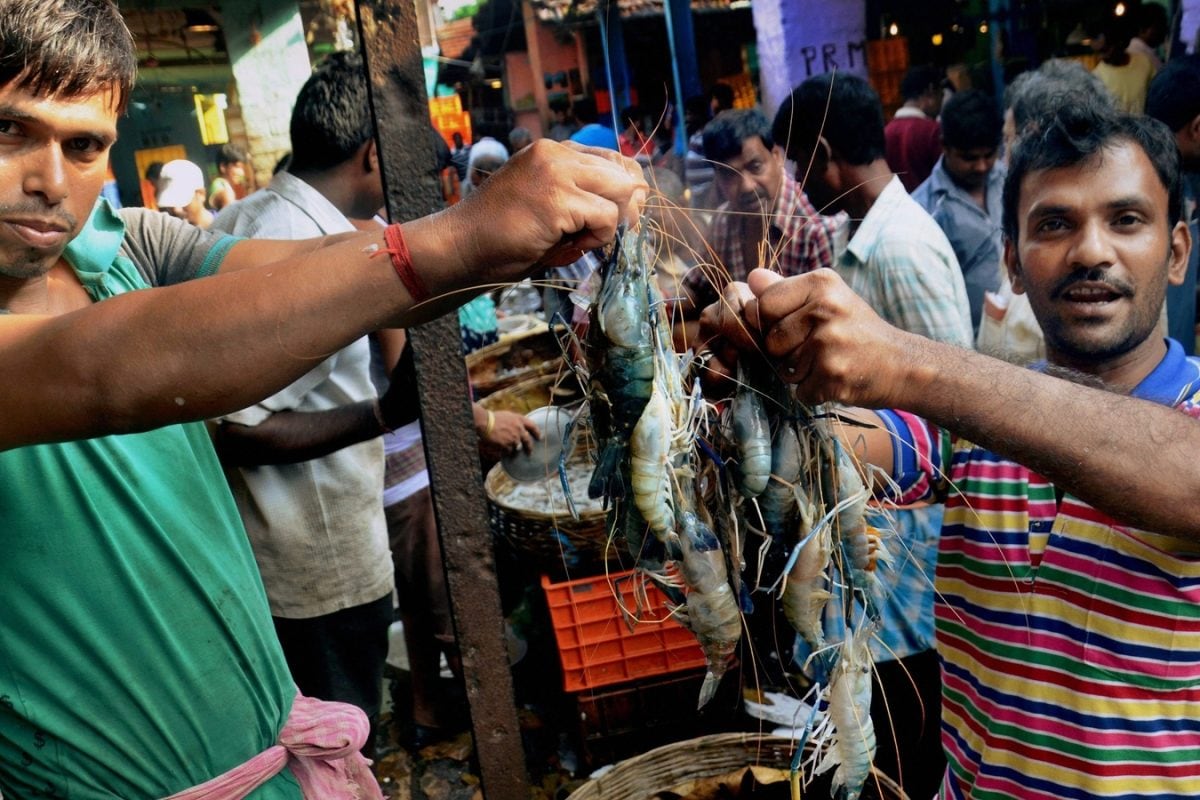 They spread too ‘Maach’ happiness in the City of Joy: Meet Kolkata’s ...