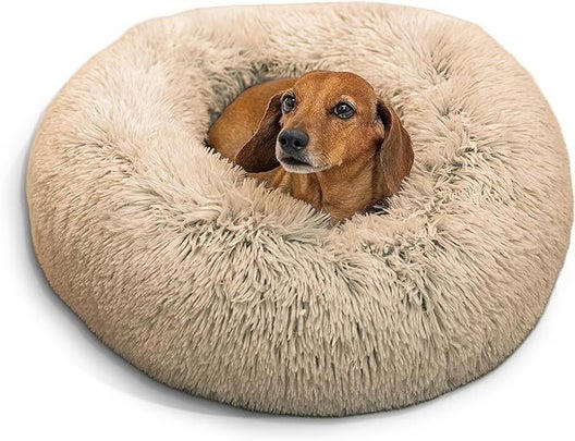 Stunning Pet Home Security Dog Crate Styles image