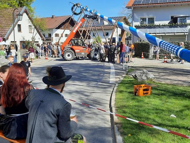 der-maibaum-in-hofolding-steht-nach-kraftakt