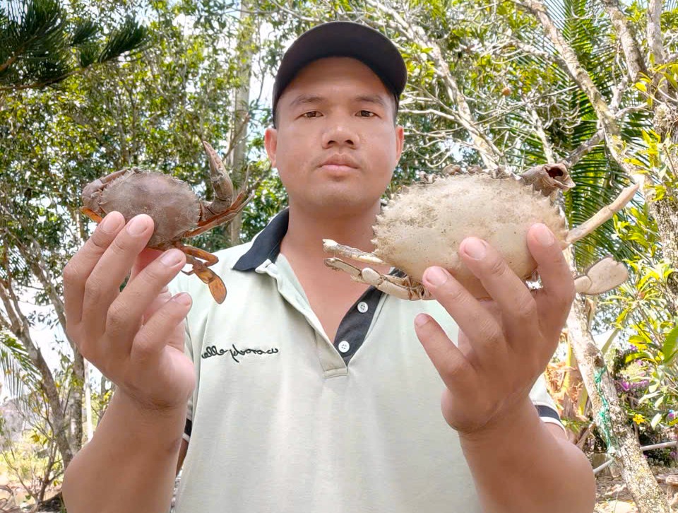 Heatwave causes mass deaths of shrimp and crab in Vietnam's Mekong Delta