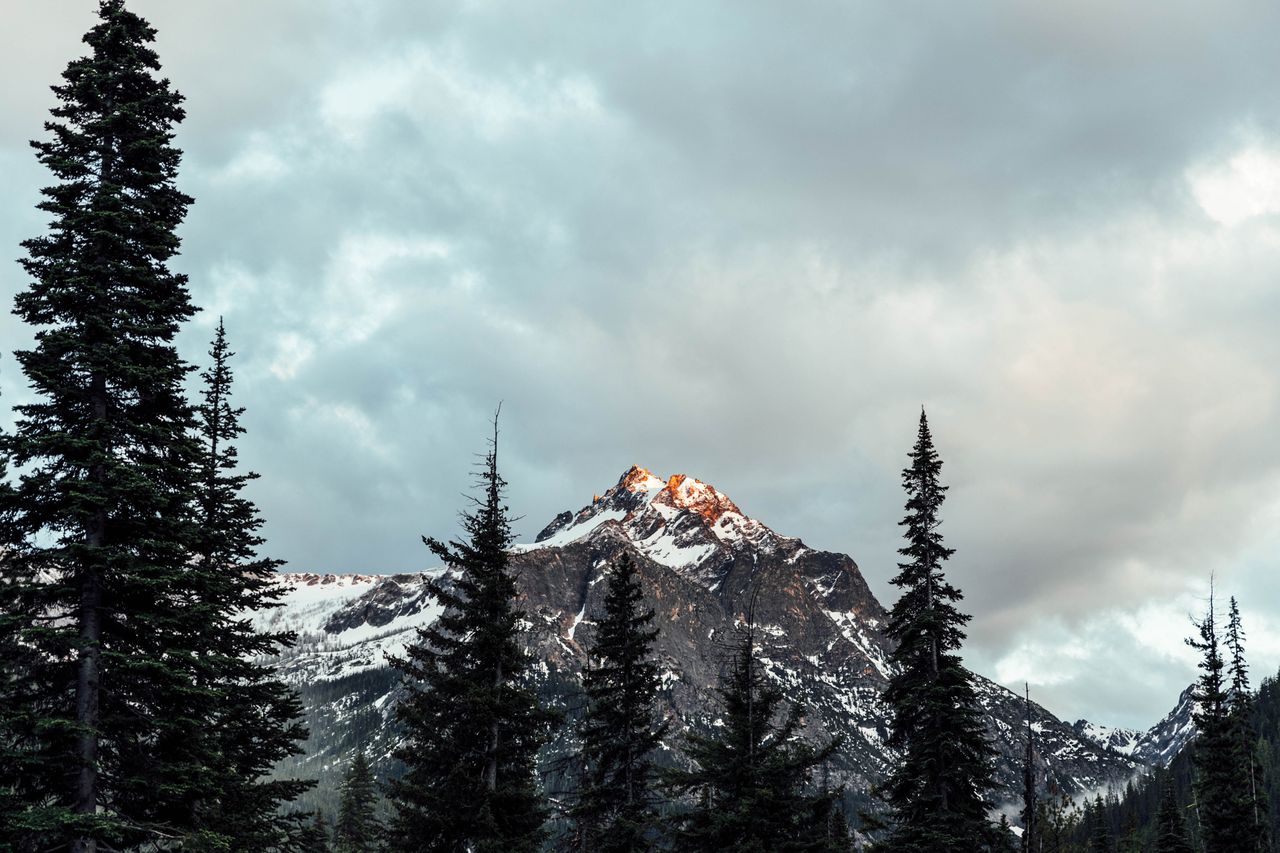 A snowcovered mountain peak surrounded by evergreen trees under a cloudy sky