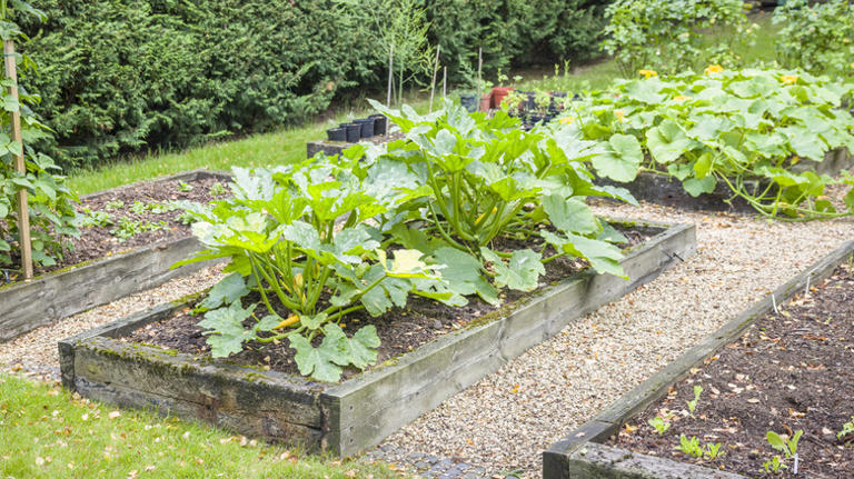 How to landscape with railroad ties: 14 tips & ideas for your yard