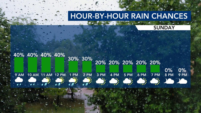 Much-needed rain falling steadily on Sunday, milder day in the 60s on tap