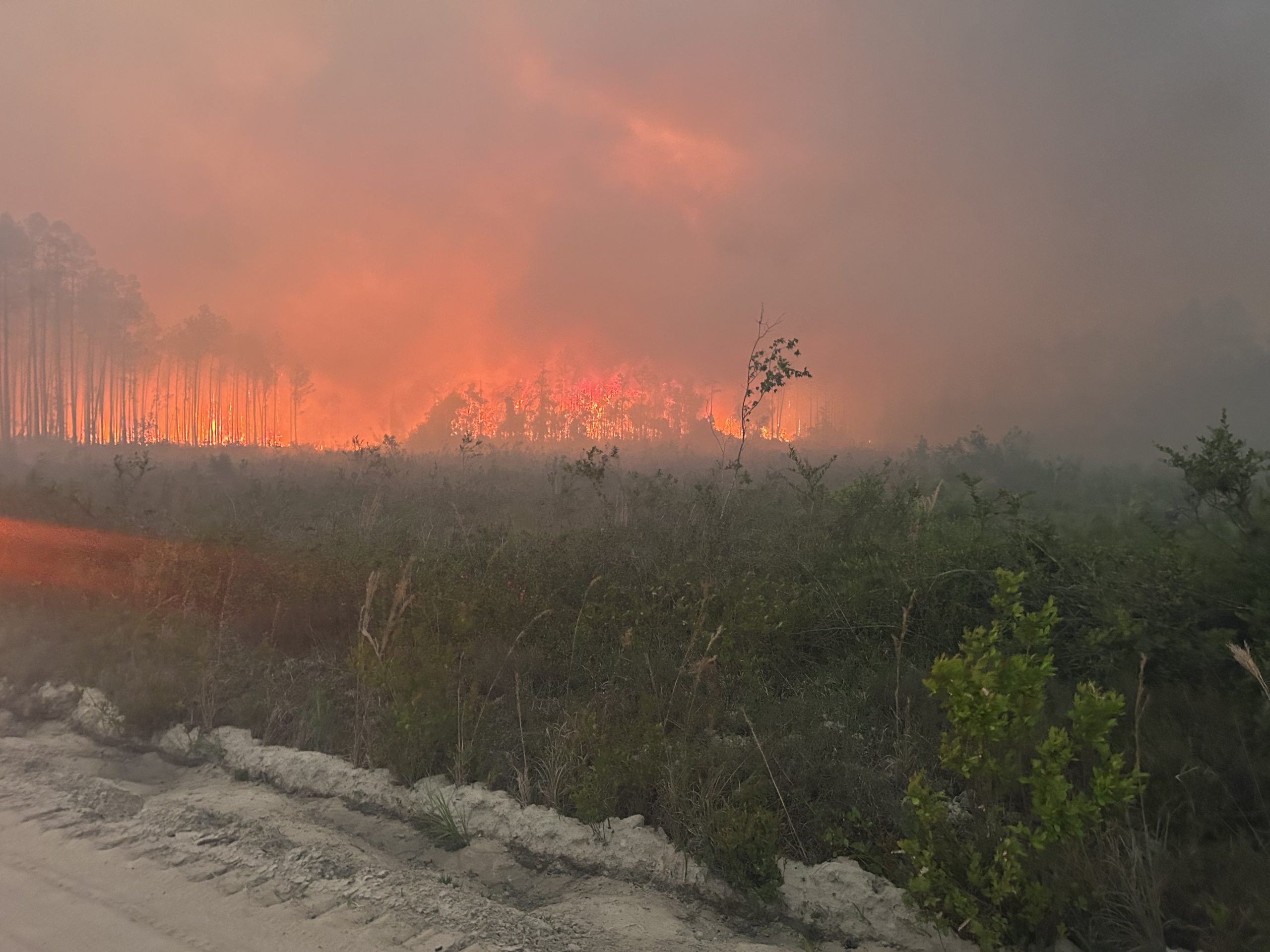 Progress made on containing massive wildfires in Florida, Georgia as ...