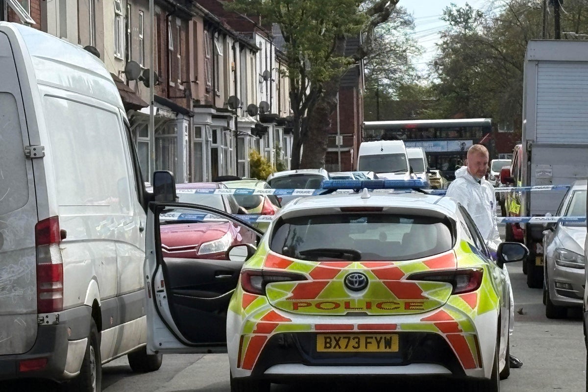 Woman arrested after two boys killed in house fire released on bail