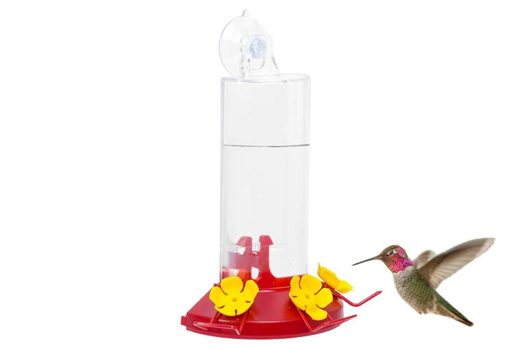 Amazon quietly dropped prices on customer-loved hummingbird feeders—and ...