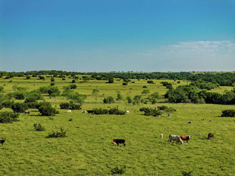 Stunning creek-filled Central Texas ranch hits the market at $11M
