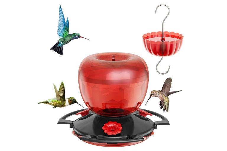 Amazon quietly dropped prices on customer-loved hummingbird feeders—and ...