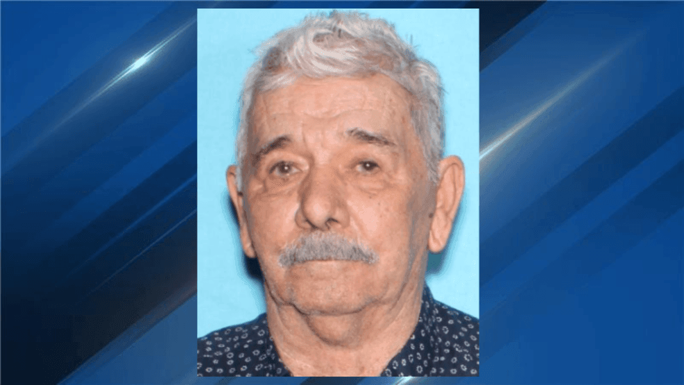 Silver Alert discontinued after missing 83-year-old man from Palmview ...