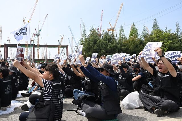 MSN 화면에 노출된 관련 기사 이미지 예시